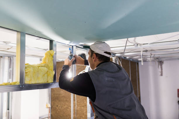 Best Insulation Replacement Services  in Minnetrista, MN