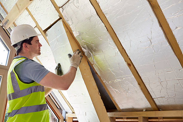 Best Affordable Insulation Services  in Minnetrista, MN